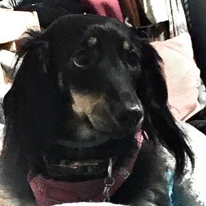 Meet your Posher, Chloe